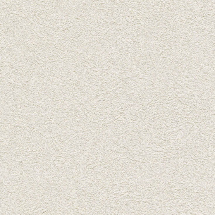 チップ画像