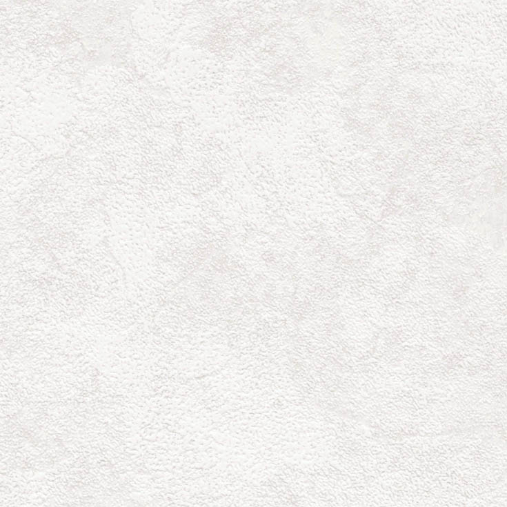 チップ画像