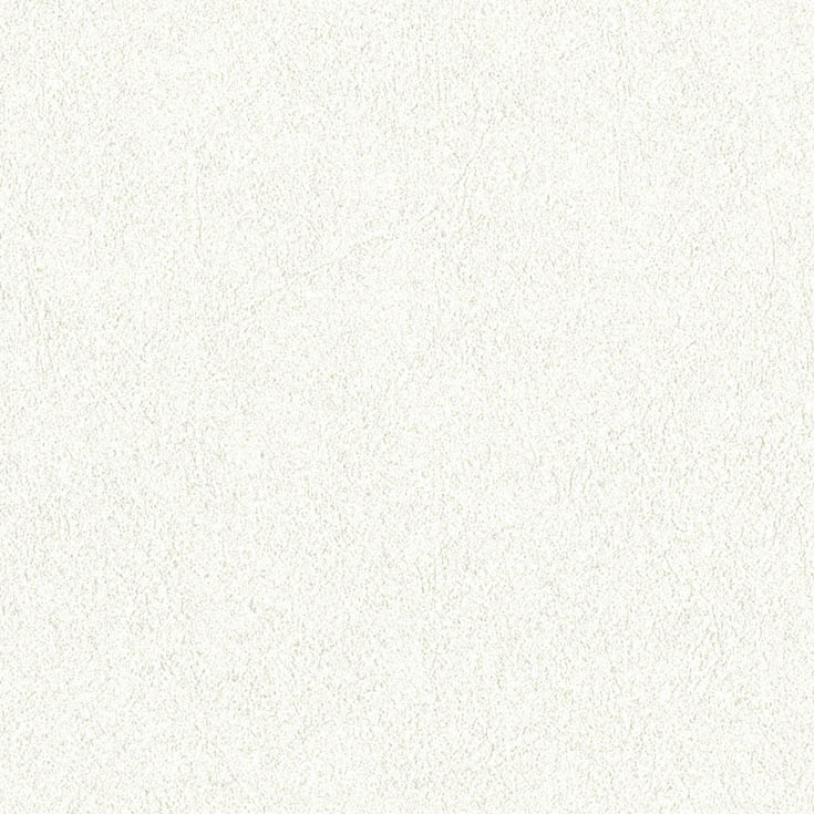 チップ画像
