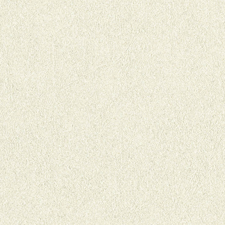 チップ画像