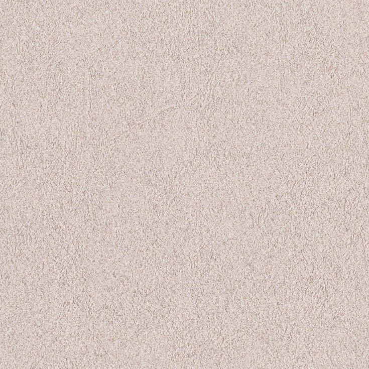 チップ画像