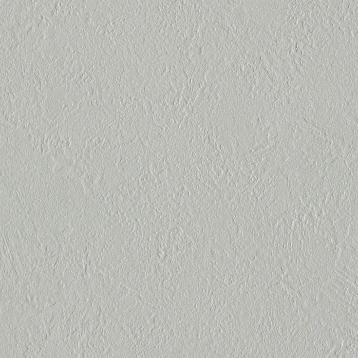 チップ画像