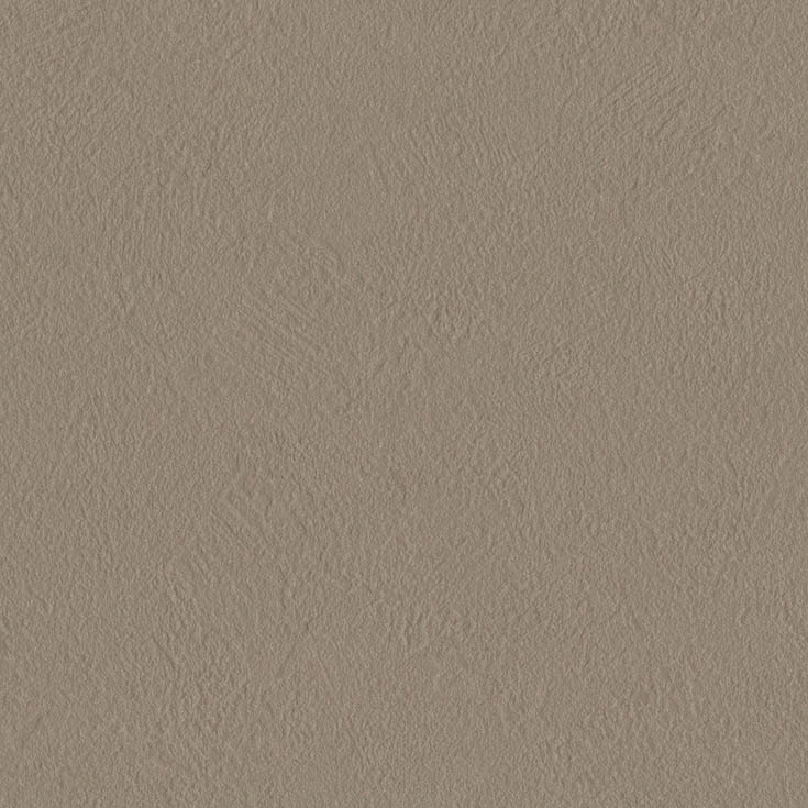チップ画像