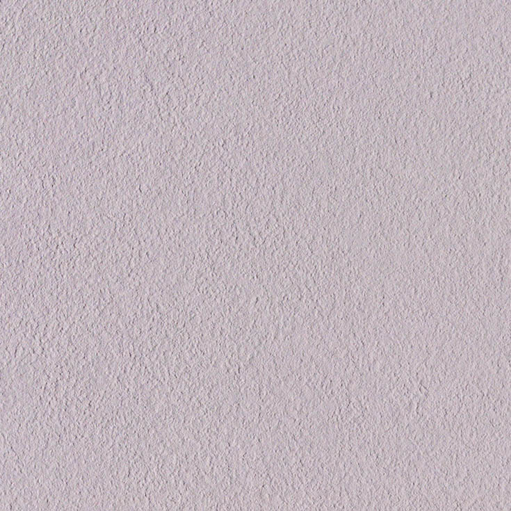チップ画像