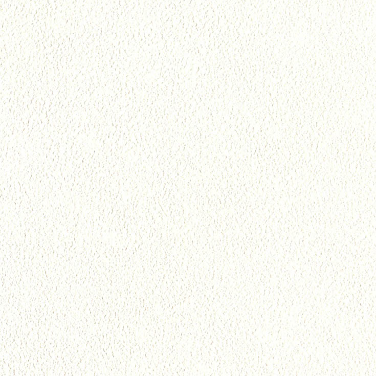 チップ画像