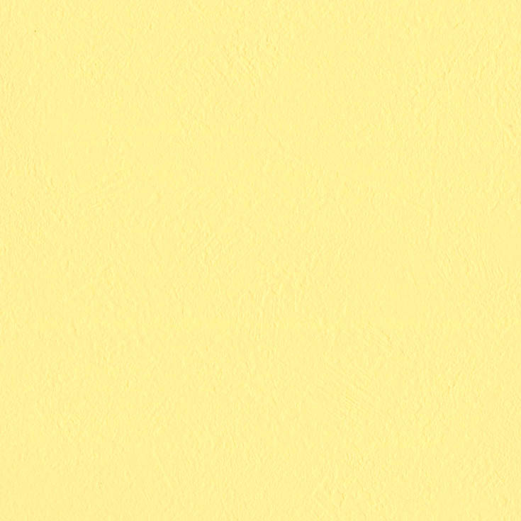チップ画像