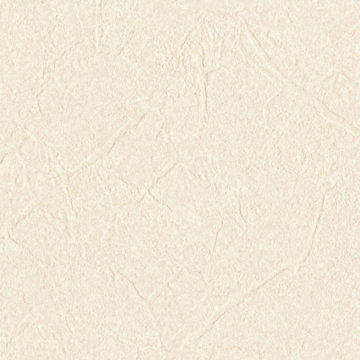 チップ画像