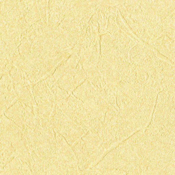チップ画像