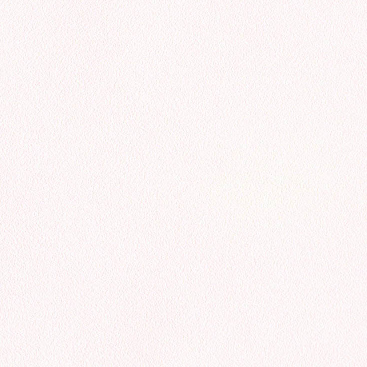 チップ画像