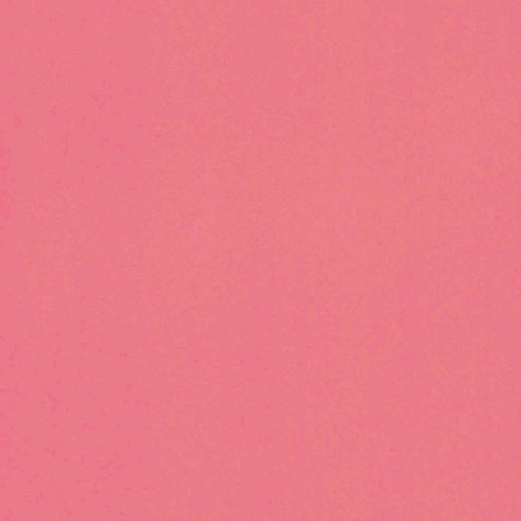 チップ画像