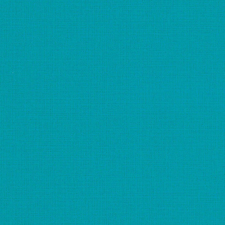 チップ画像
