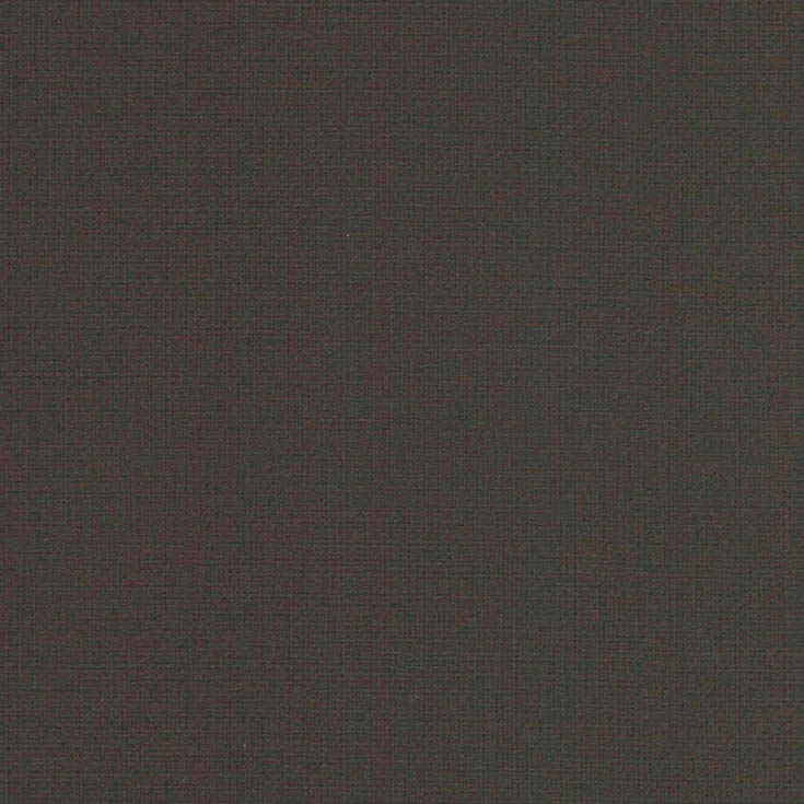 チップ画像