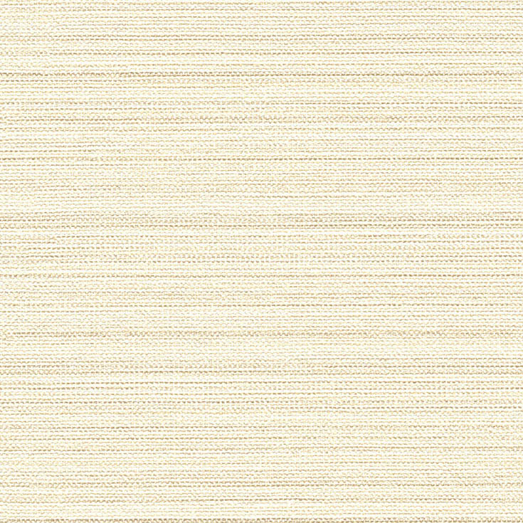 チップ画像