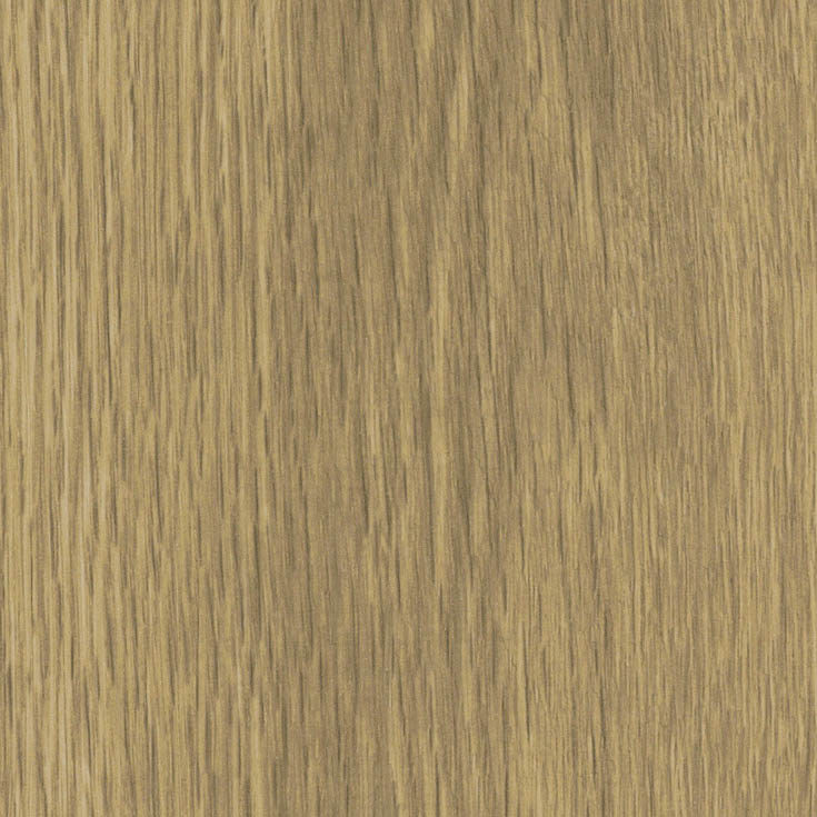チップ画像