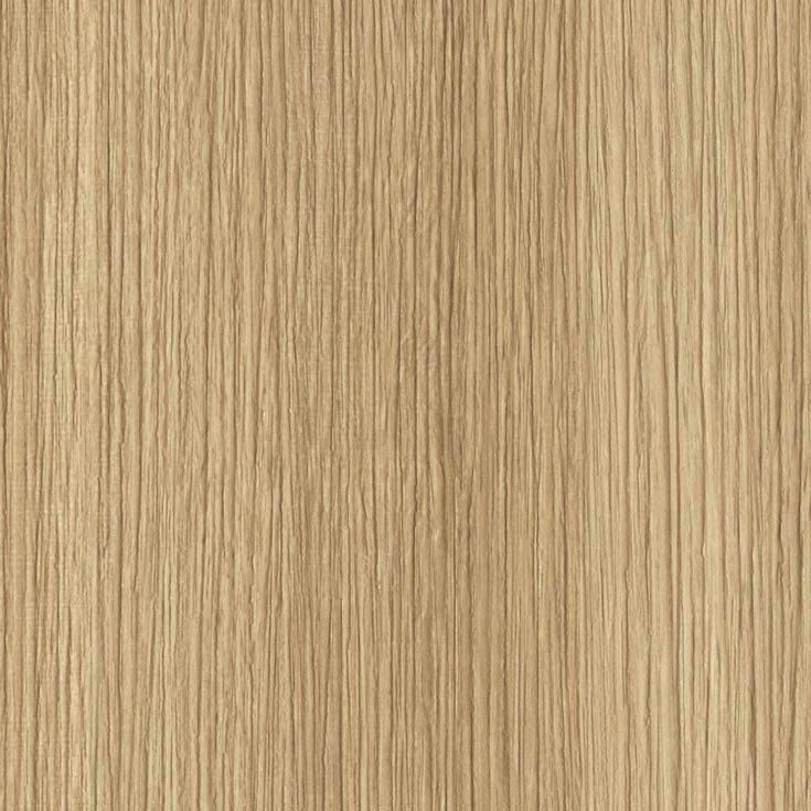 チップ画像