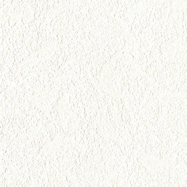 チップ画像