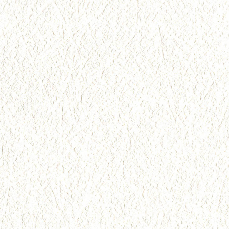 チップ画像