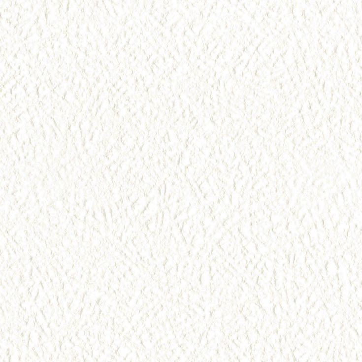 チップ画像