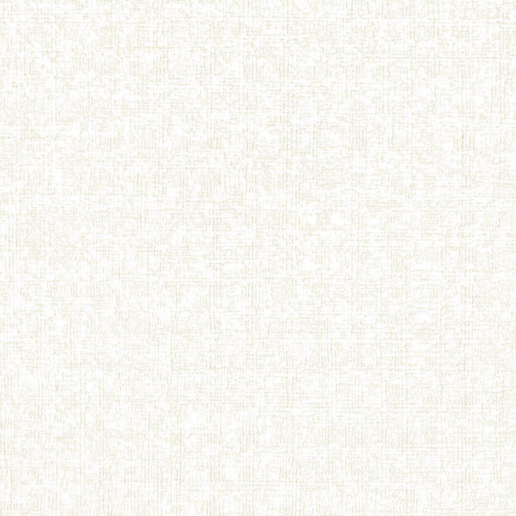チップ画像