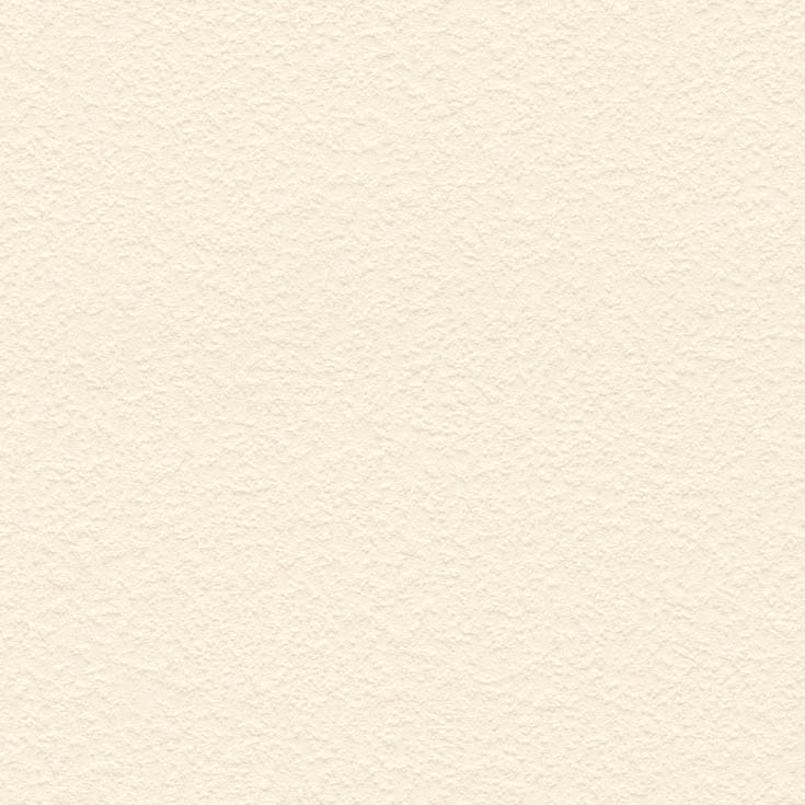 チップ画像