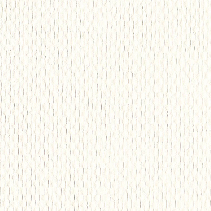 チップ画像