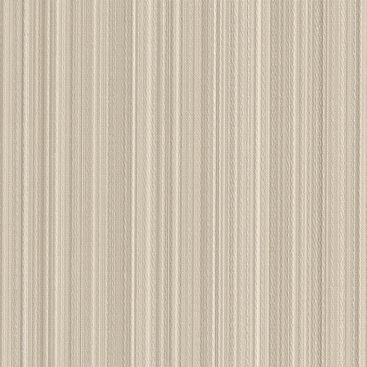 チップ画像