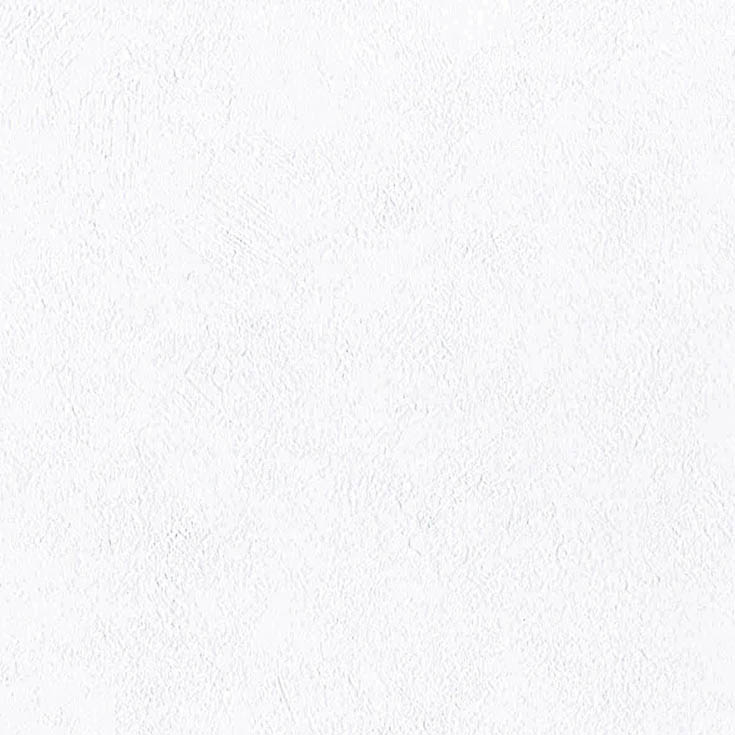 チップ画像