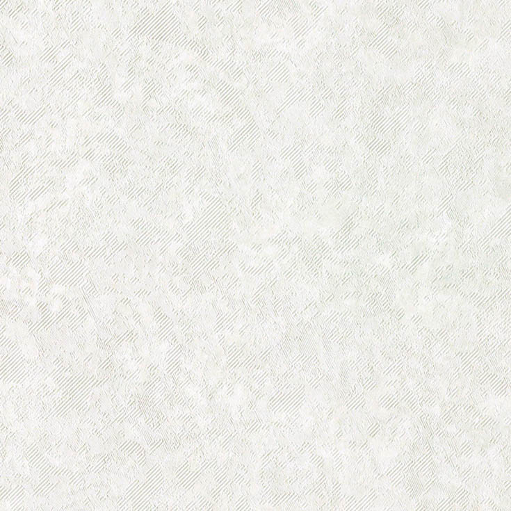 チップ画像