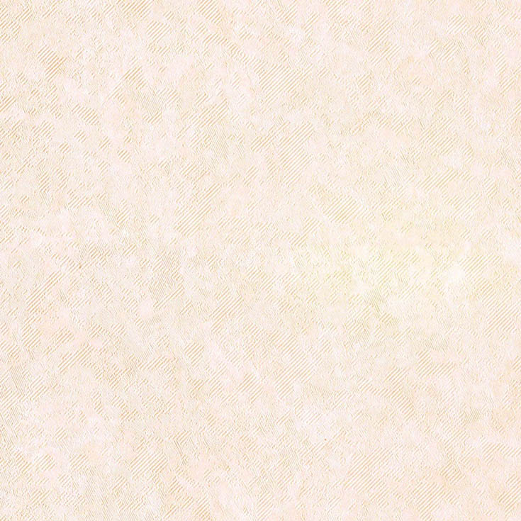 チップ画像