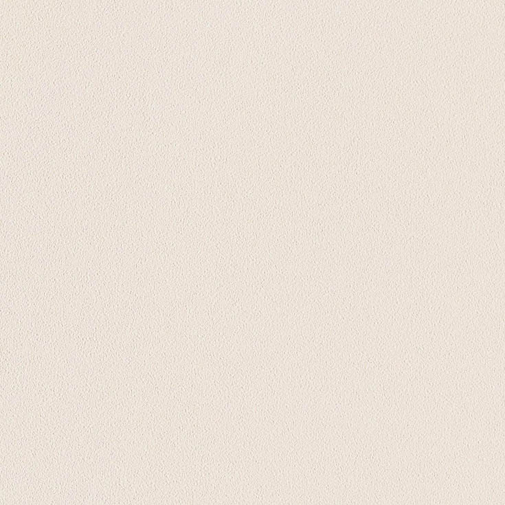 チップ画像