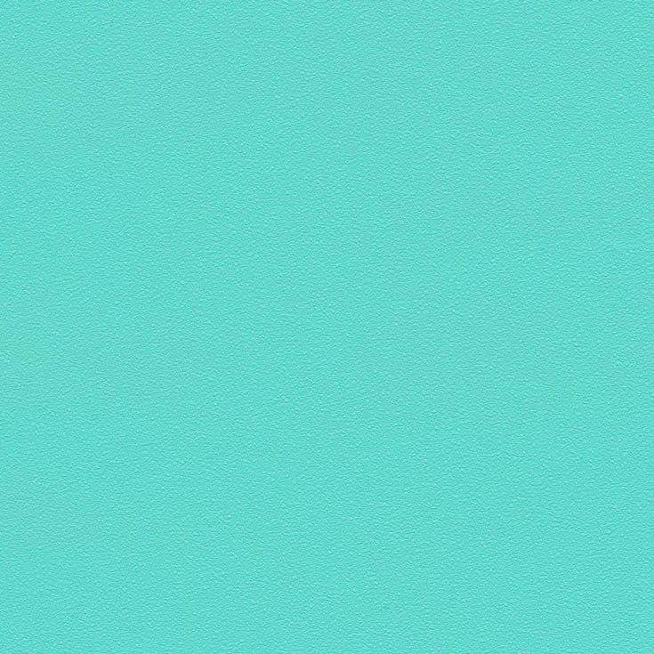 チップ画像
