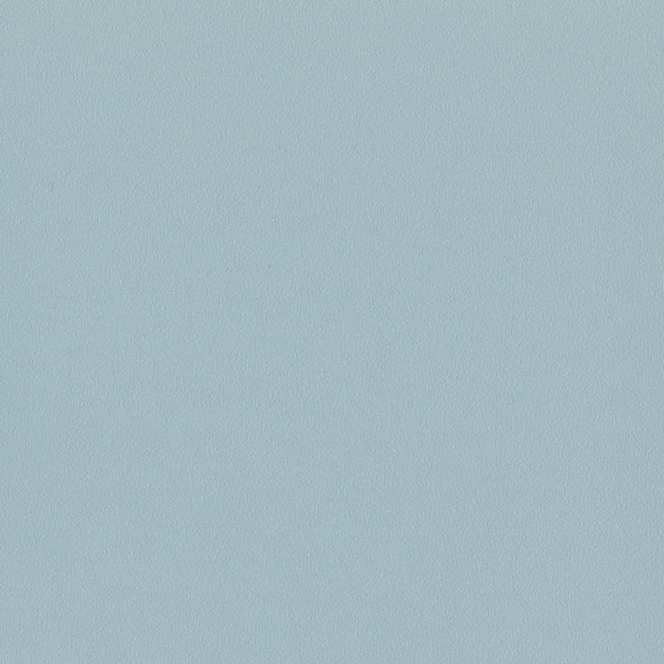 チップ画像