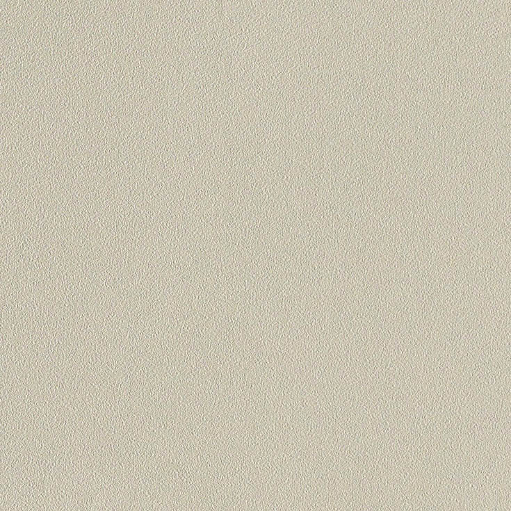 チップ画像