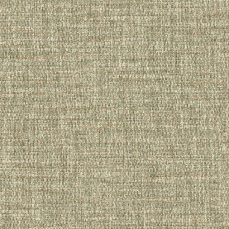 チップ画像