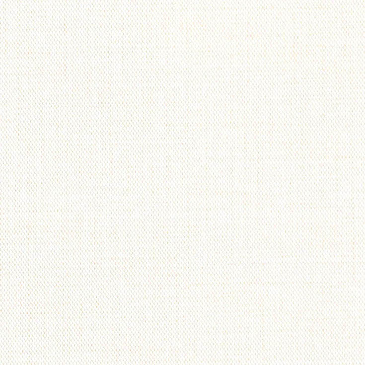 チップ画像