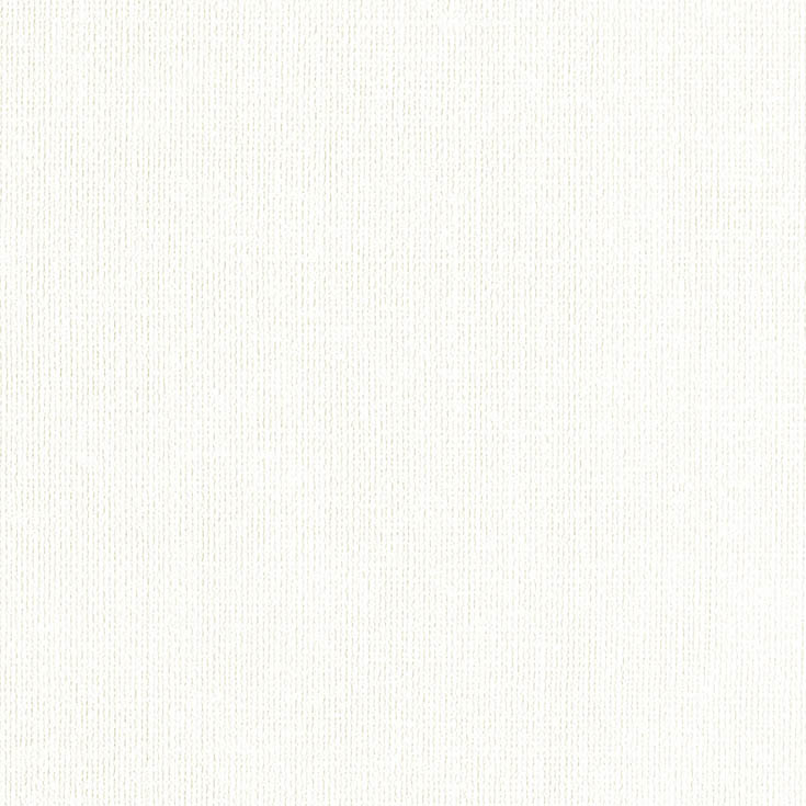 チップ画像