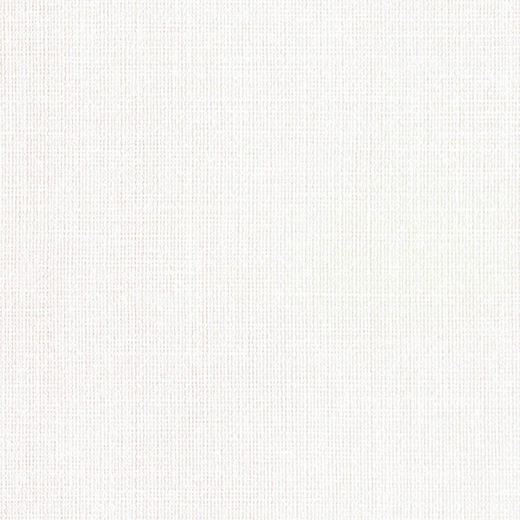 チップ画像
