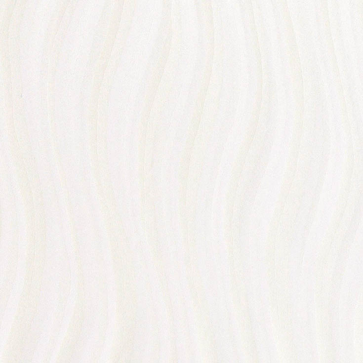 チップ画像