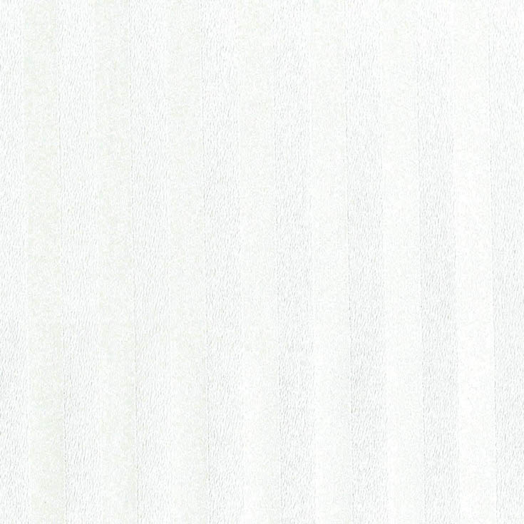 チップ画像