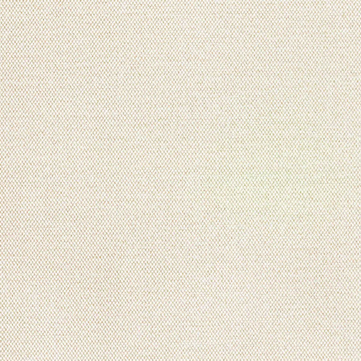 チップ画像