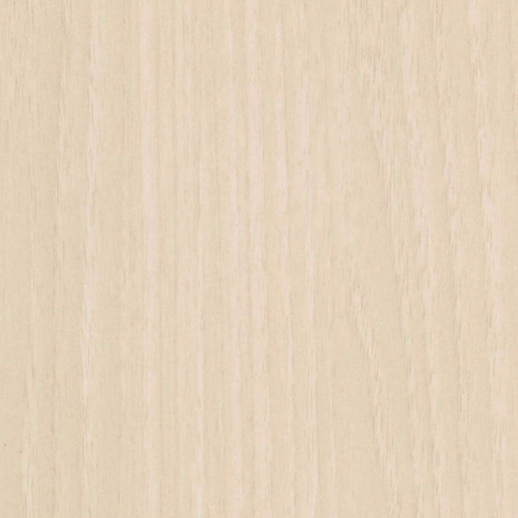 チップ画像