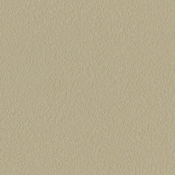 チップ画像