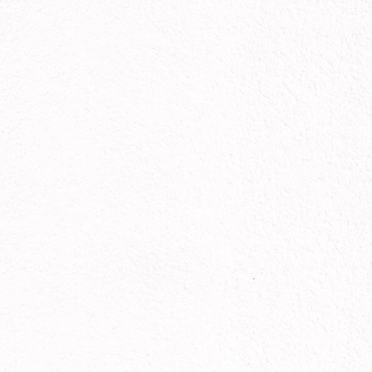 チップ画像