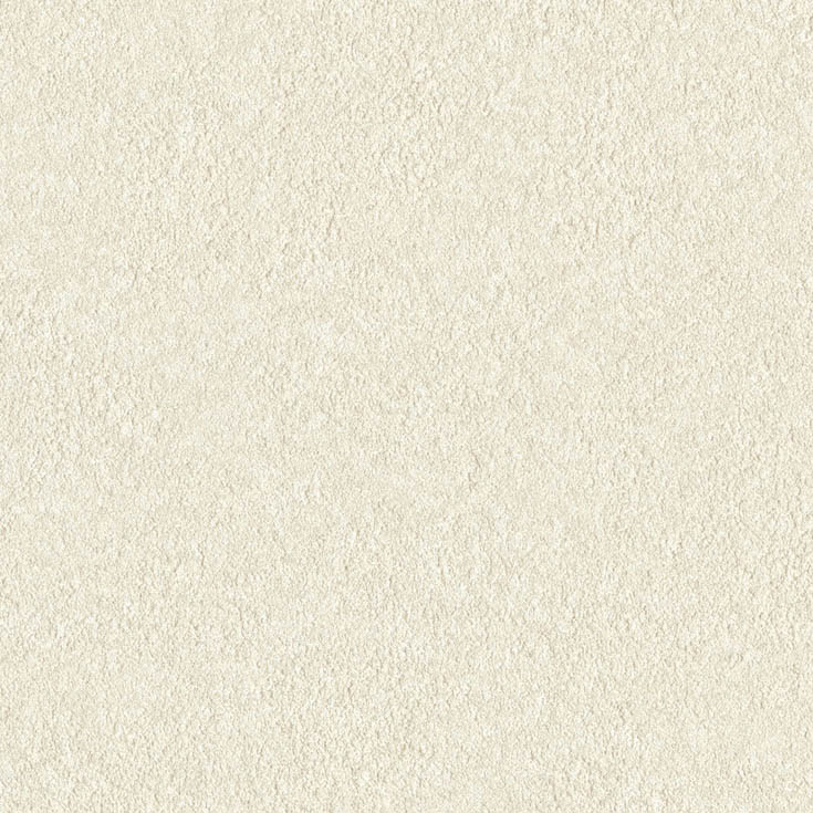 チップ画像