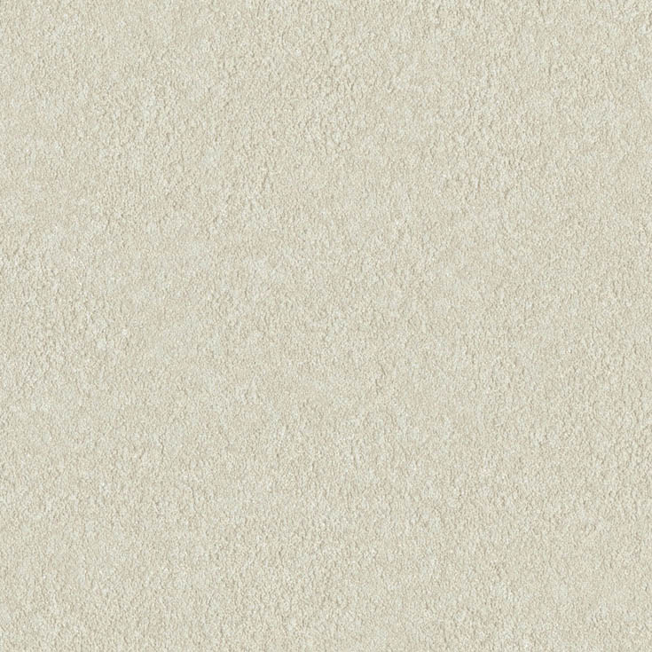 チップ画像