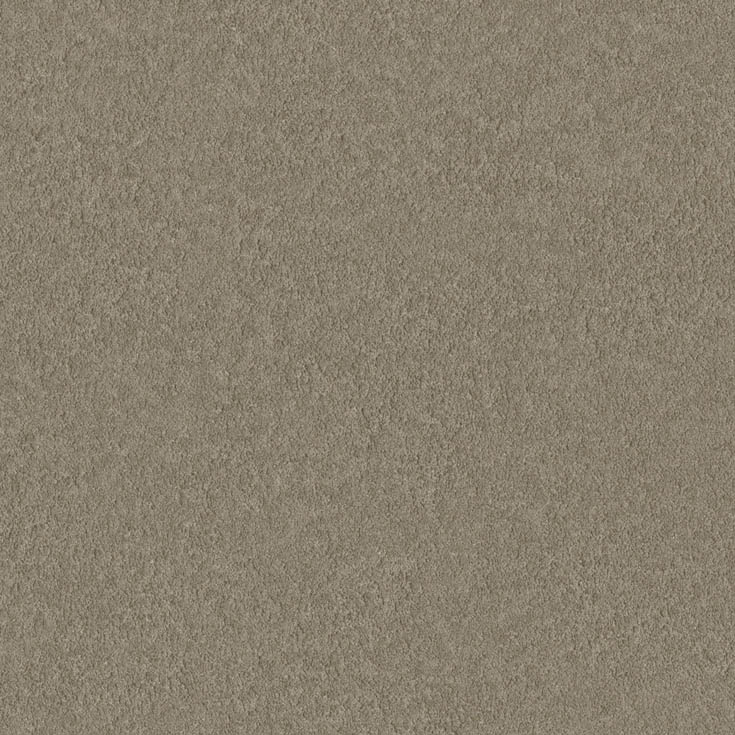 チップ画像