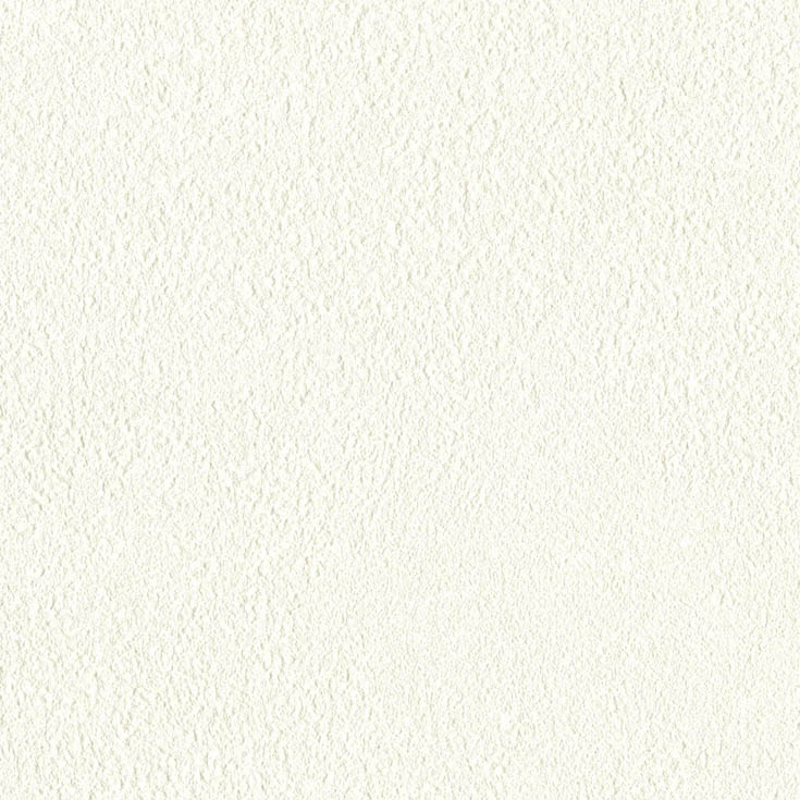 チップ画像