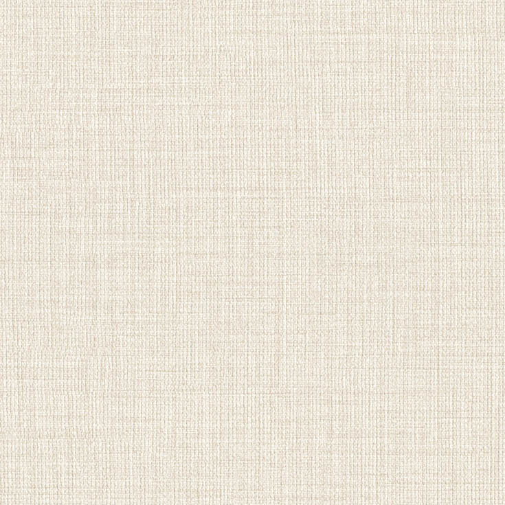 チップ画像