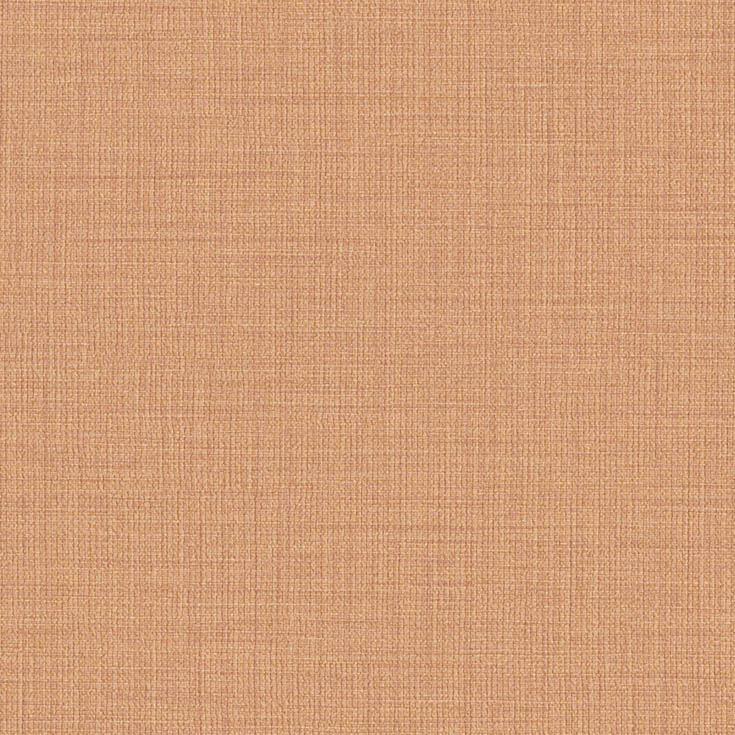 チップ画像