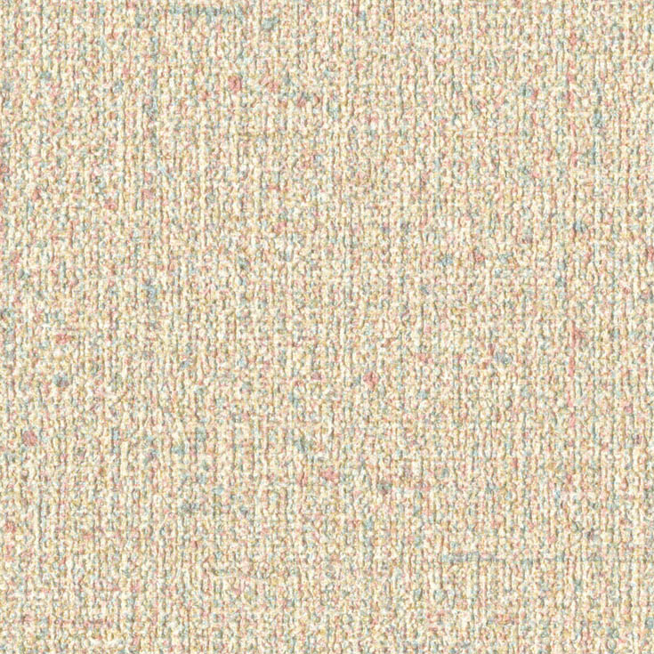 チップ画像